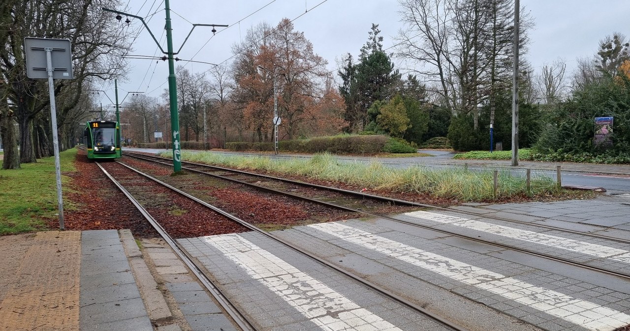 Kilka miesięcy utrudnień w Poznaniu. Rusza remont torowiska