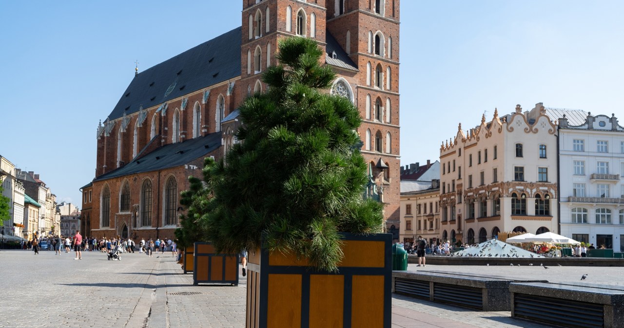 Krakowski Rynek Główny się zazieleni. Jest decyzja