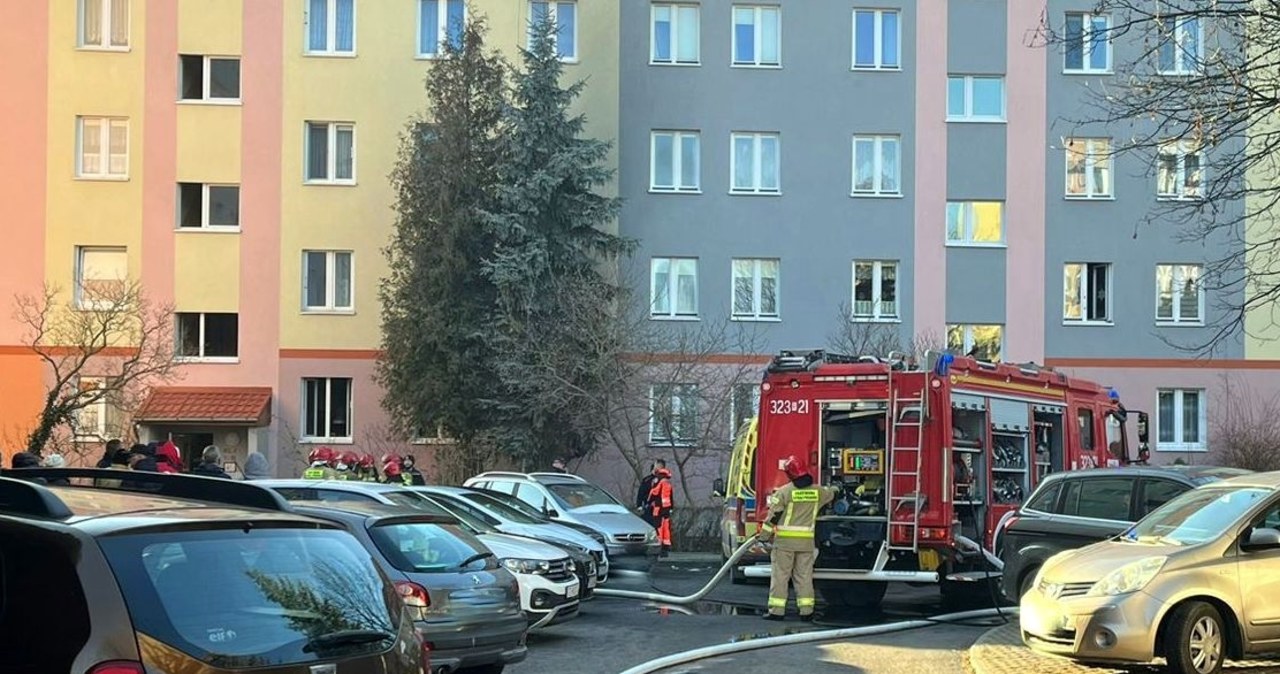 Pożar w Rzeszowie. Zginęła 91-latka, uratowano trzylatkę