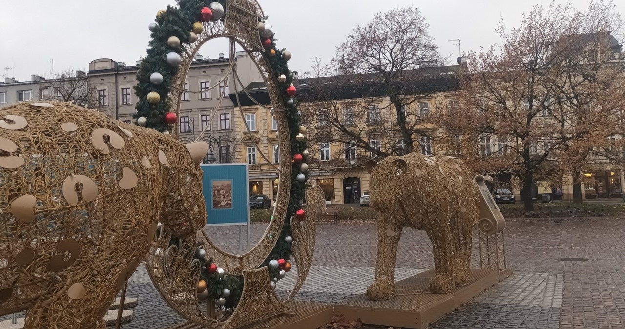 Kraków stroi się na święta